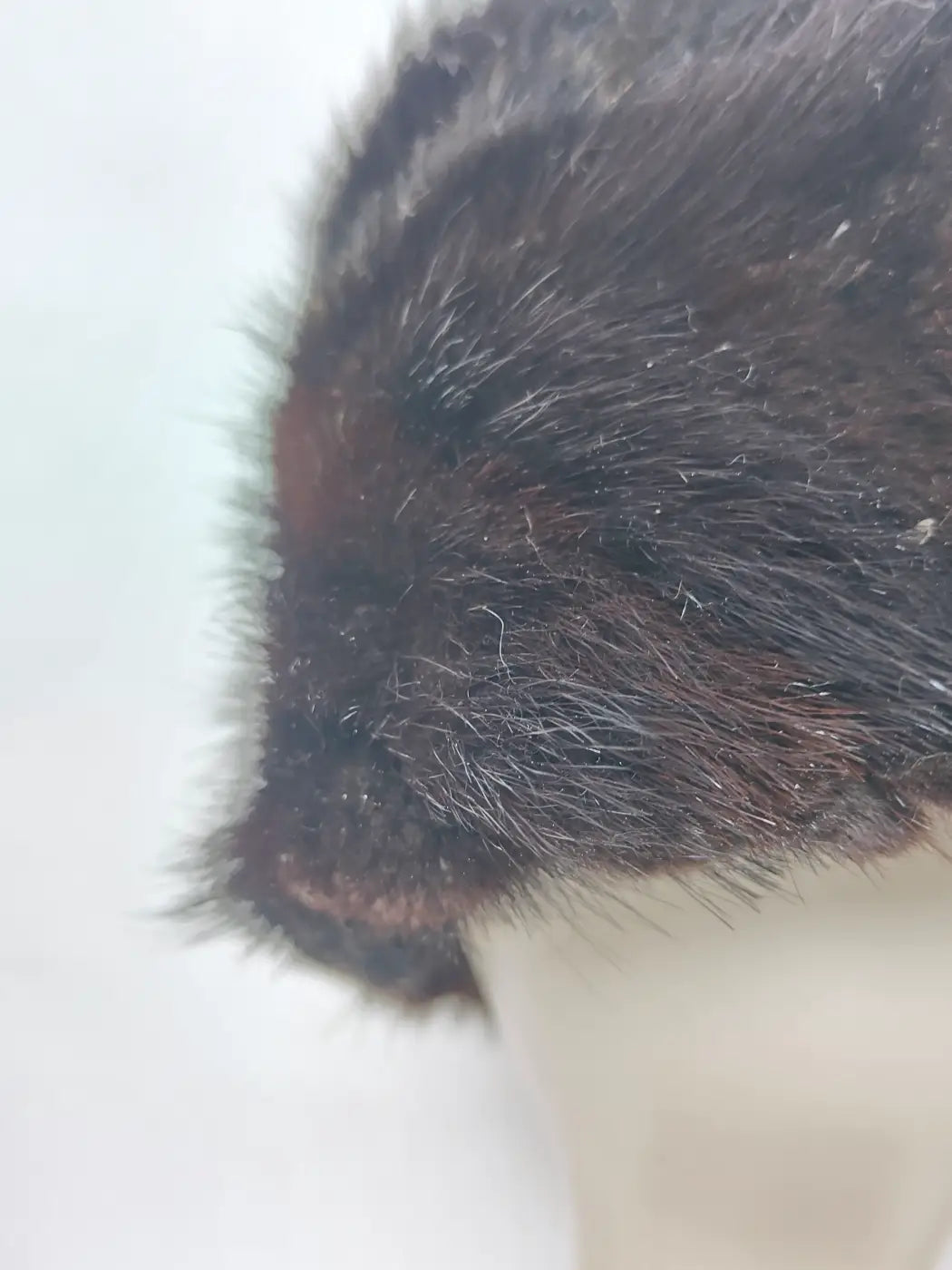 Bazm Dark Brown Cap in Mink Fur