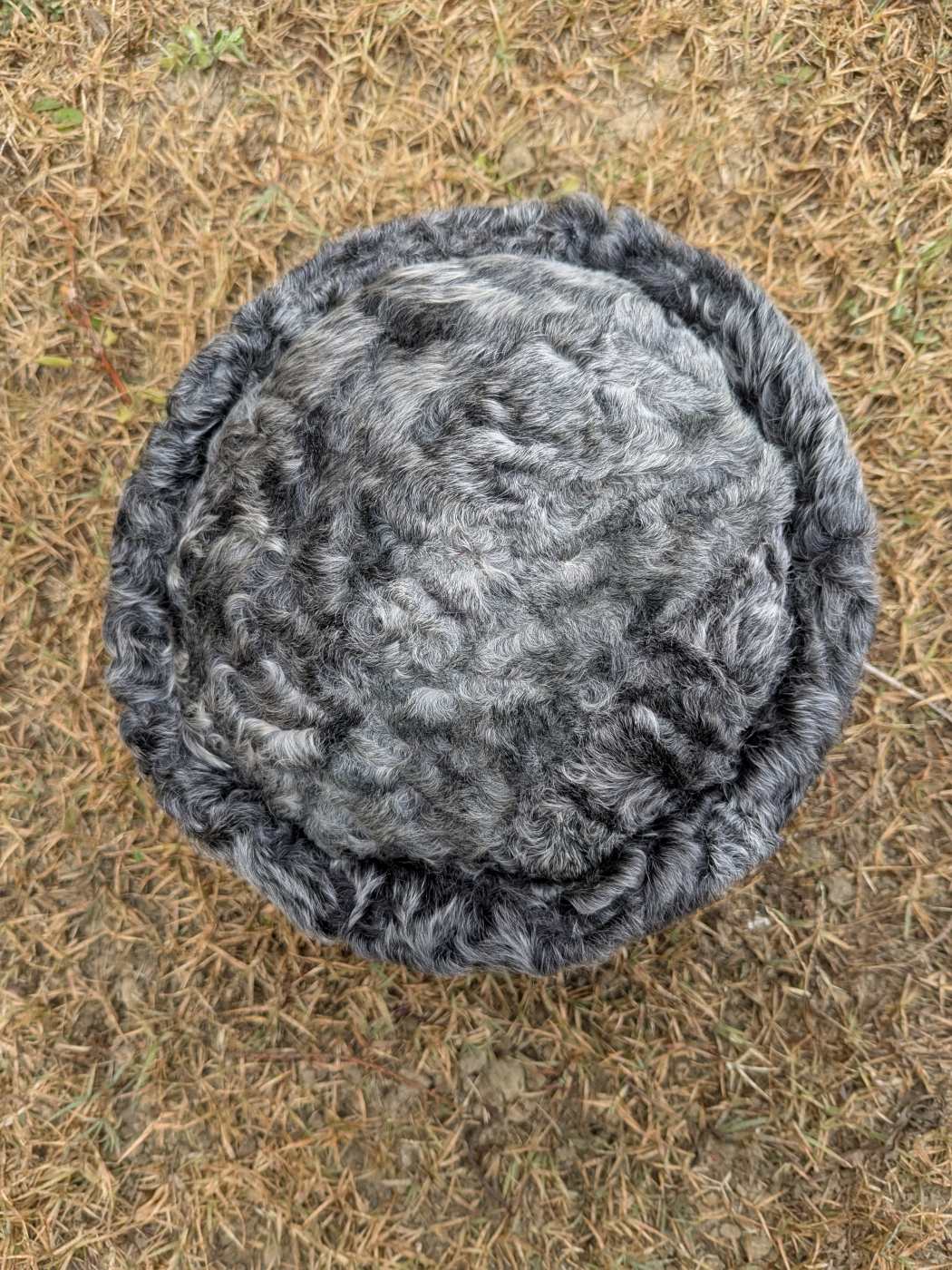 Gray turkish karakul fur hat on a brown grass background