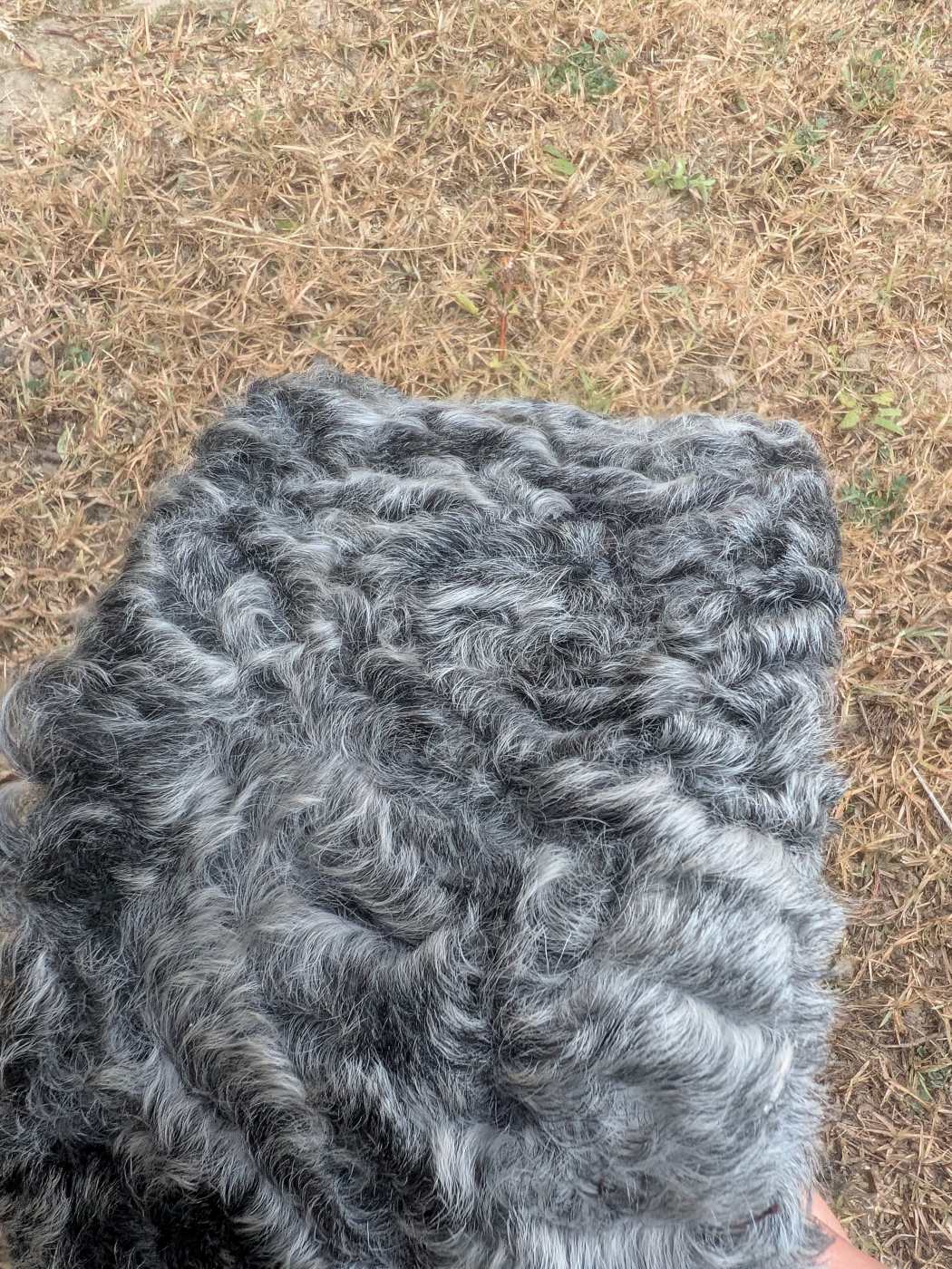 Grey qarakuli cap